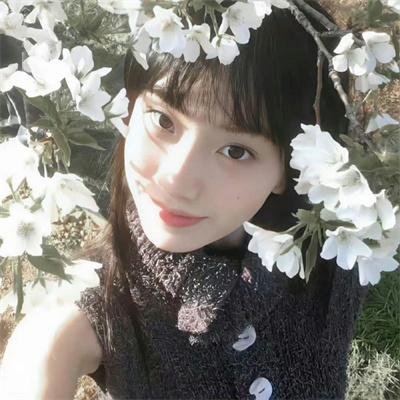 薄樱鬼第二季